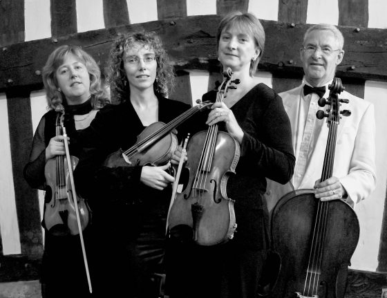 belvoir strings