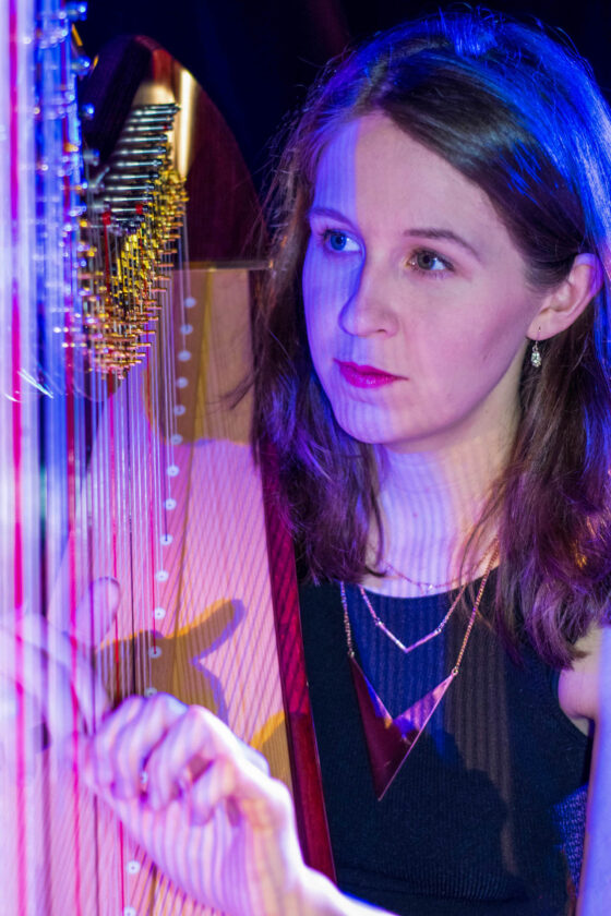 Harpist Ruth - Lincolnshire - close-up