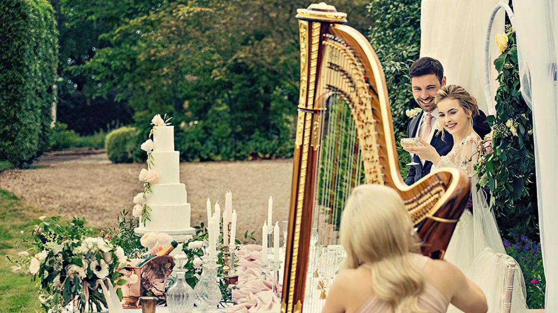 Leicester Harpist - Background music