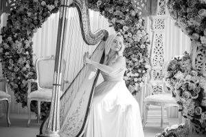 Leicester Harpist