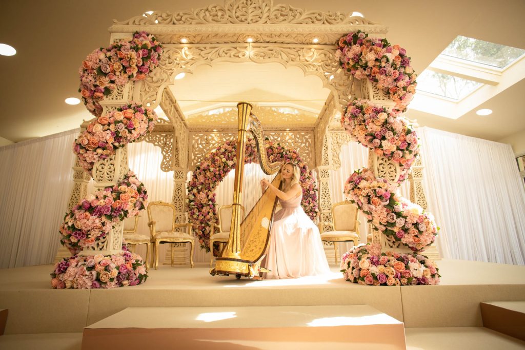Leicester Harpist