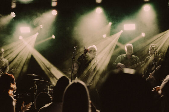 loophole live