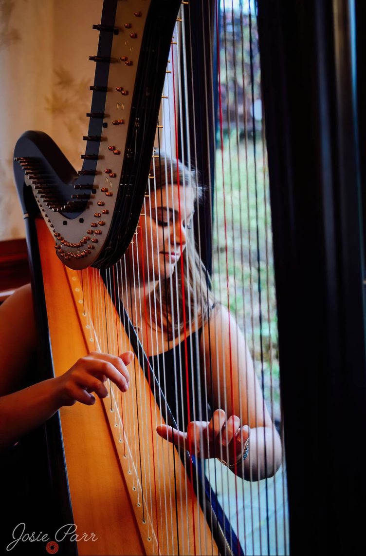 Rutland Harpist Hire for Weddings & Events DG Music