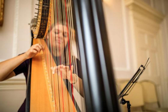 Rutland Harpist for Hire