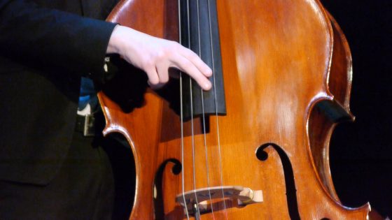 The Jazz Collective Band - Doubele Bass