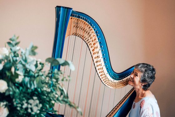 Worcestershire Harpist