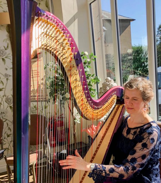 Worcestershire Harpist